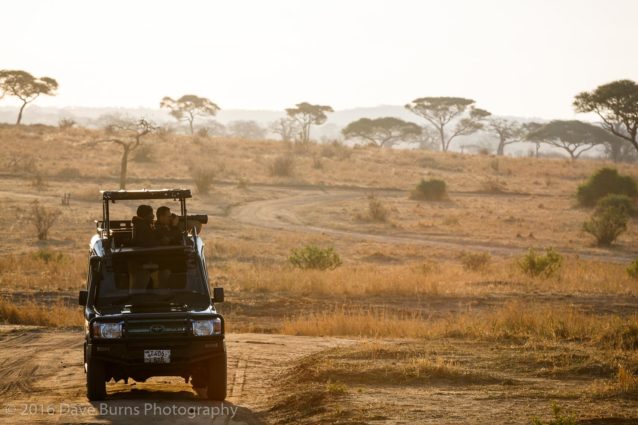Photographing at Sunset on Safari