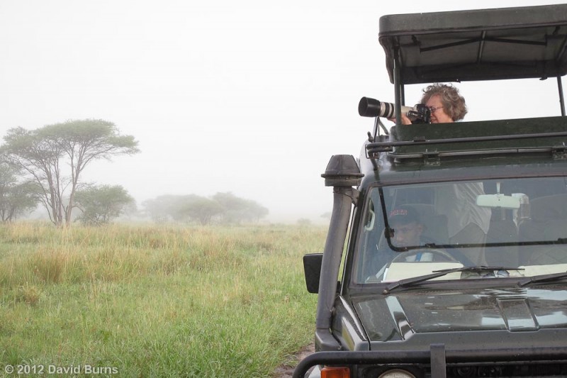 Photographer in safari vehicle Photographer in safari vehicle