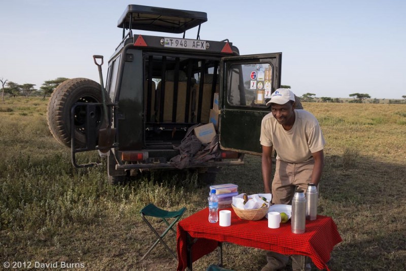 Bush Breakfast in the Serengeti