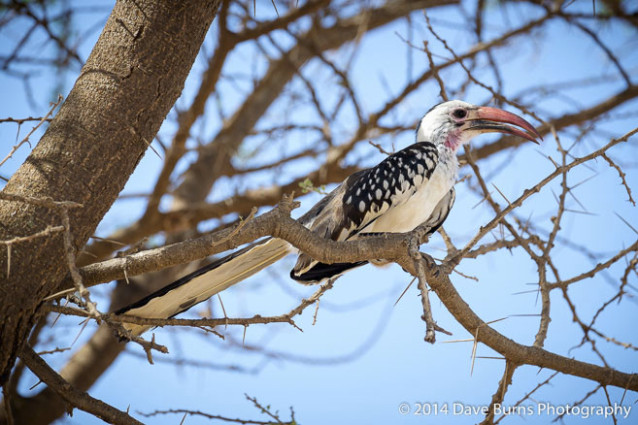 20141015-Tanzania-00075