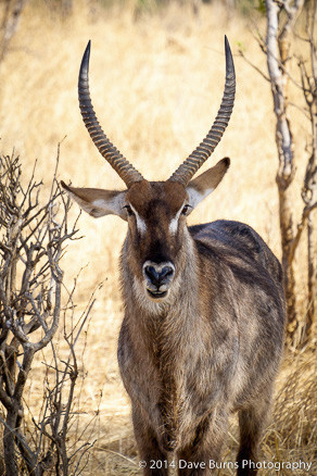 20141015-Tanzania-00079