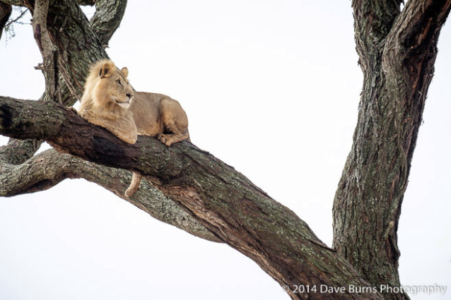 20141017-Tanzania-00051