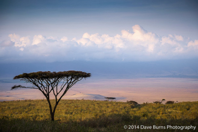 20141019-Tanzania-00025