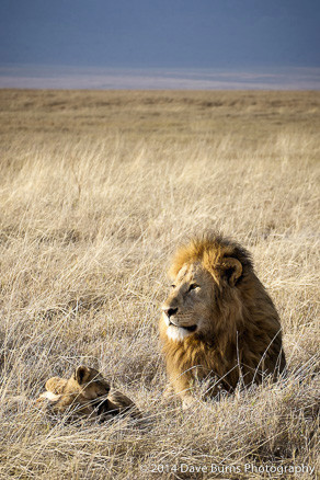 20141019-Tanzania-00036