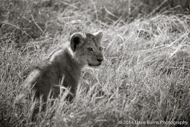 20141019-Tanzania-00065