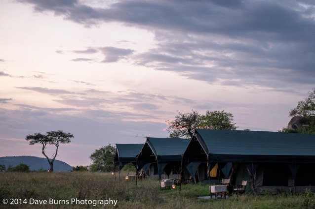 Safari Camp in the Moru Kopjes