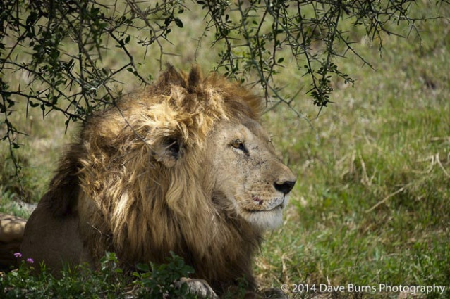 20141023-Tanzania-00086