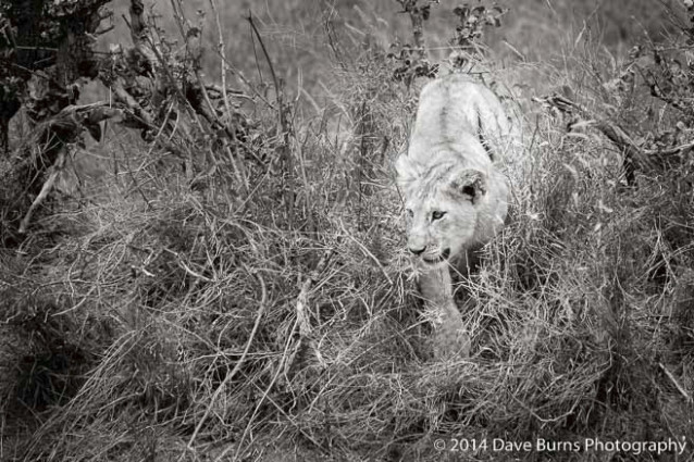 20141023-Tanzania-00141