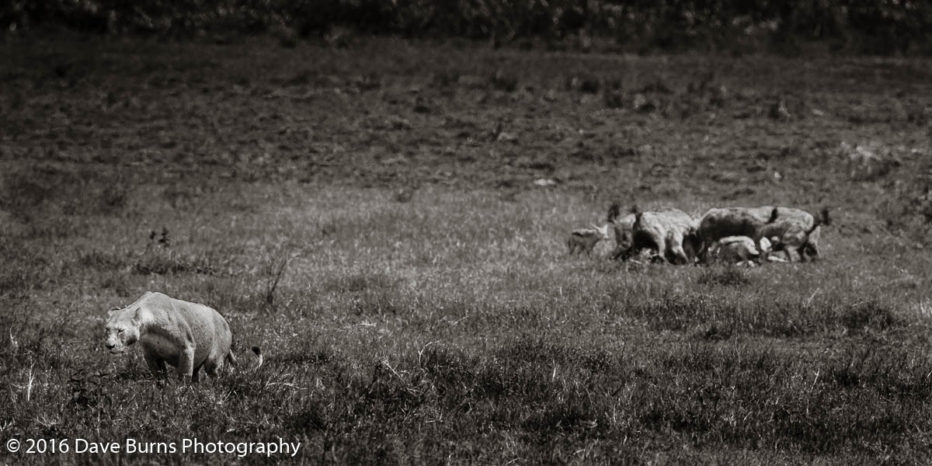 20120311-Tanzania-02317.jpg