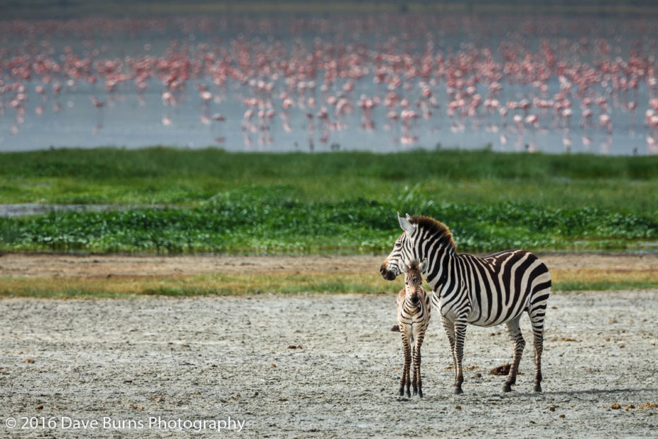 20120312-Tanzania-02796.jpg