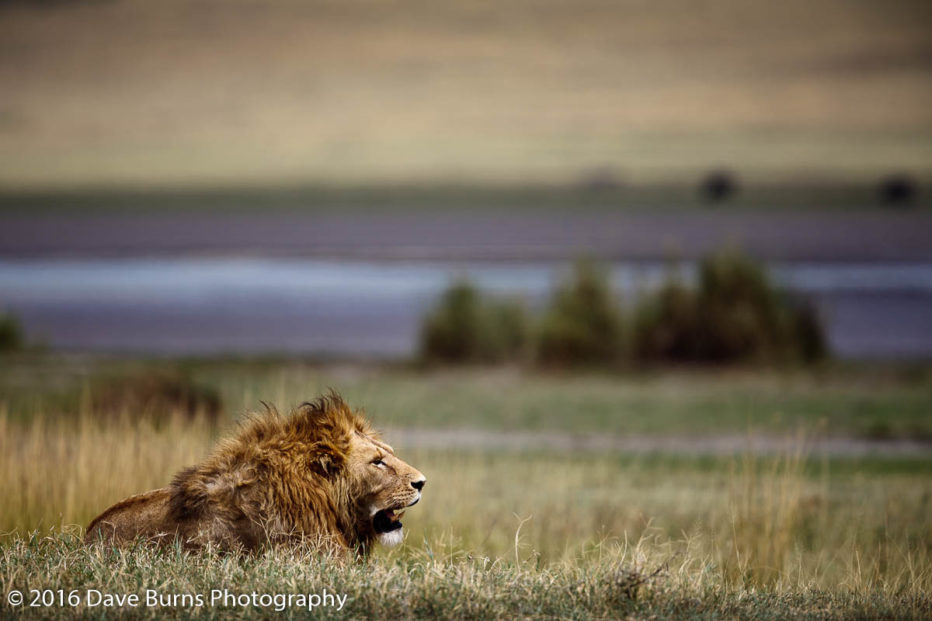 20120312-Tanzania-02964.jpg