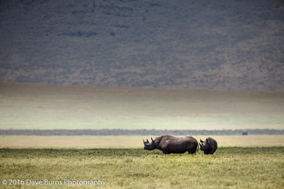 20120313-Tanzania-03323.jpg