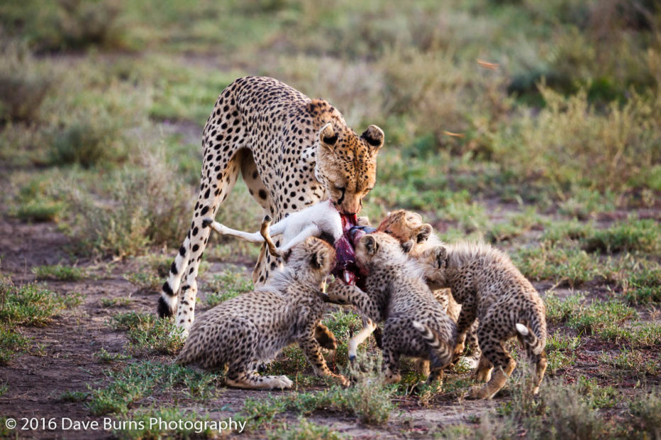 20120315-Tanzania-04035.jpg