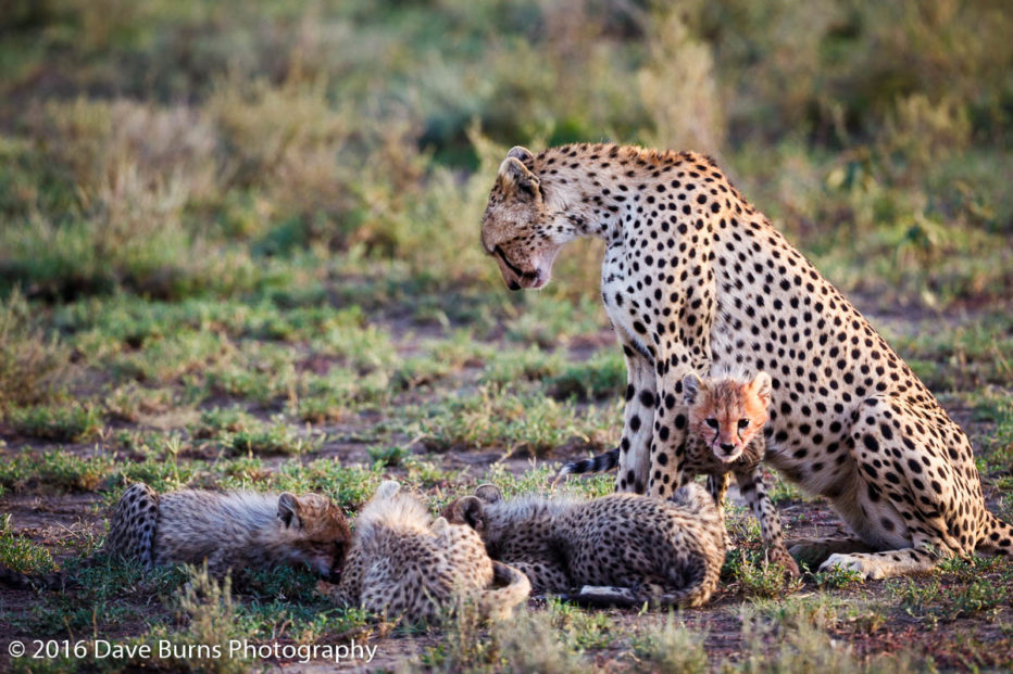 20120315-Tanzania-04158.jpg