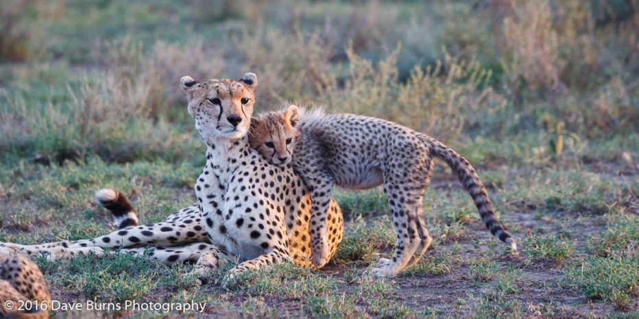 20120315-Tanzania-04293.jpg