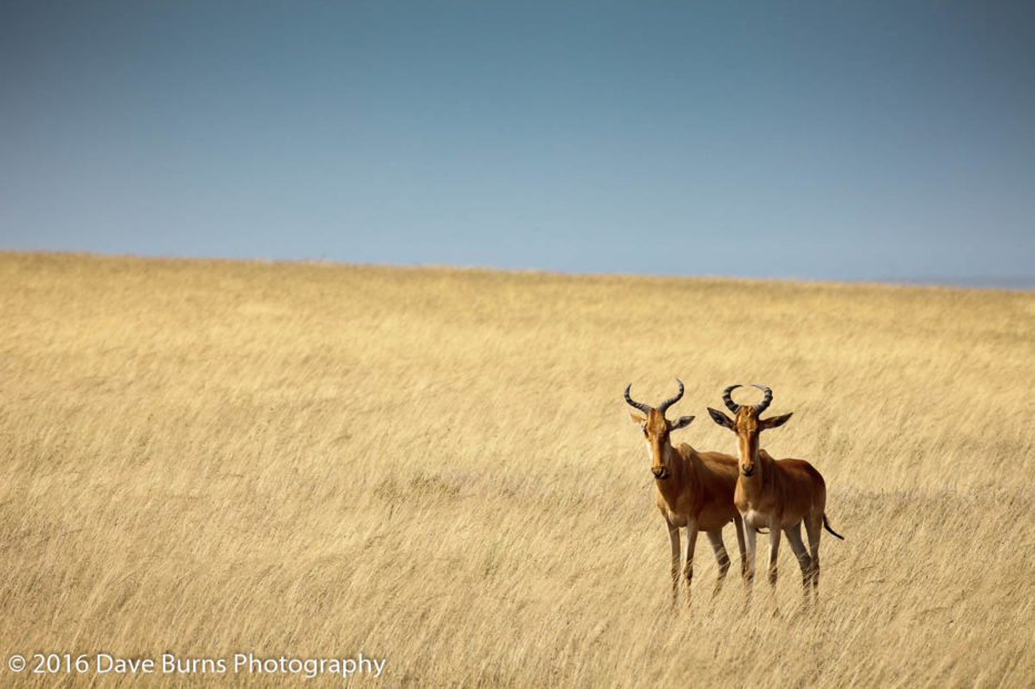 20120318-Tanzania-05561.jpg