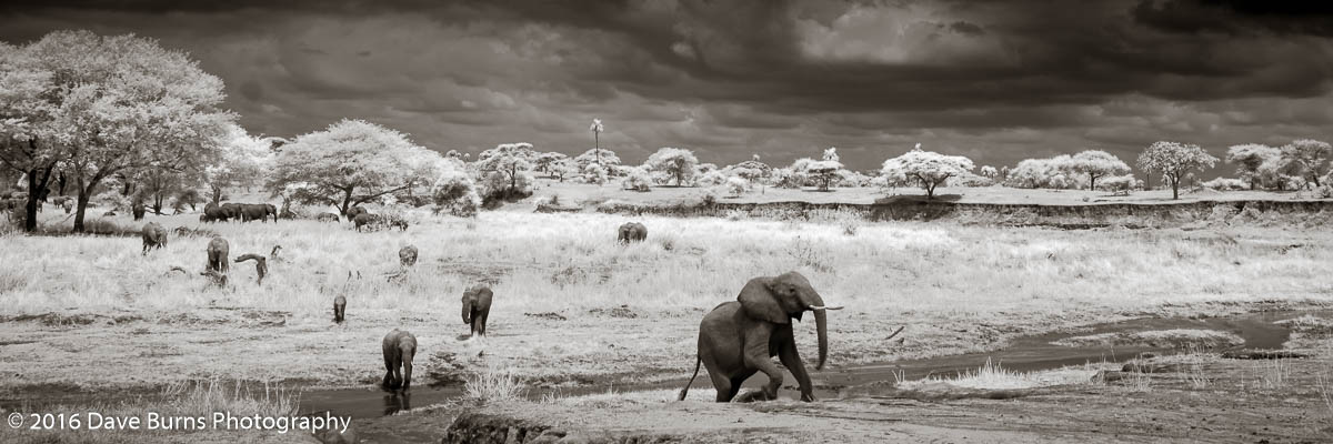 20121106-Tanzania-00471.jpg