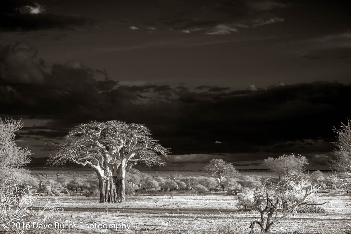 20121106-Tanzania-00569.jpg