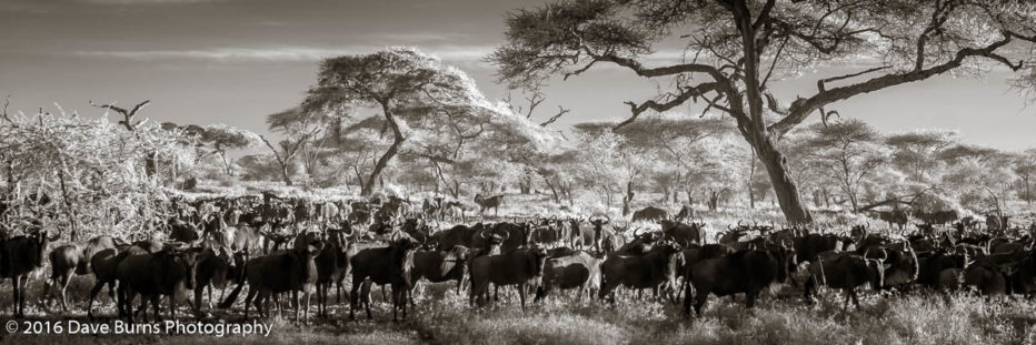 20121113-Tanzania-00005-2.jpg