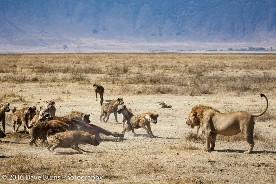 20131026-Tanzania-00043-2.jpg