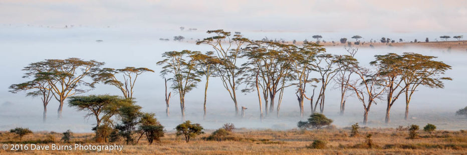 20131030-Tanzania-00018.jpg