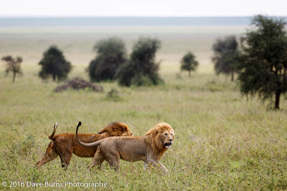 20141022-Tanzania-00075.jpg