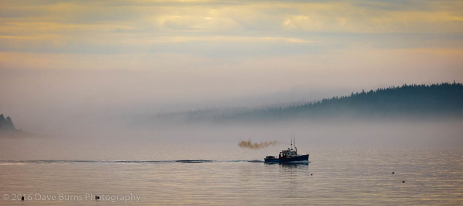 20110630-Acadia-0124.jpg