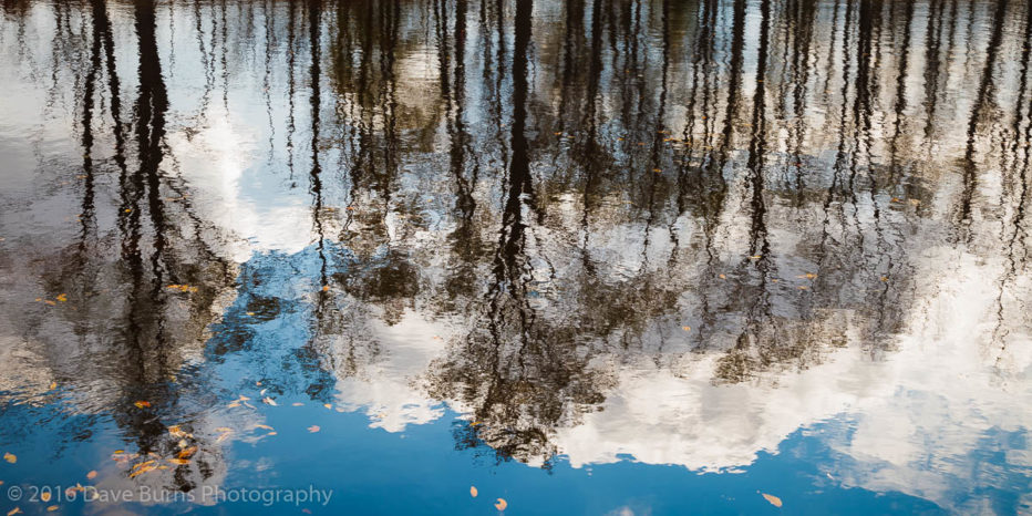 20110929-CanaanValley-0009.jpg