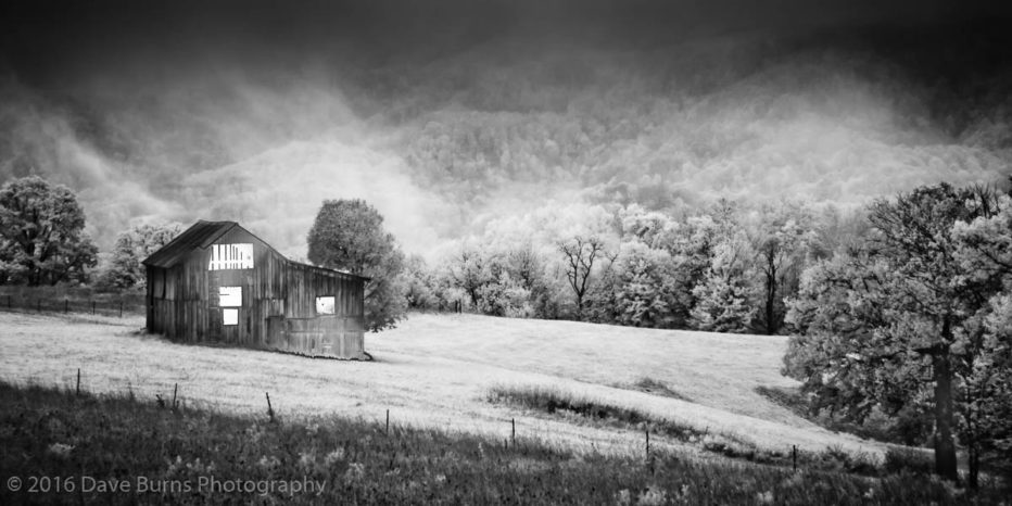 20111002-CanaanValley-0484.jpg