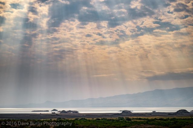 Rays on Lake Natron