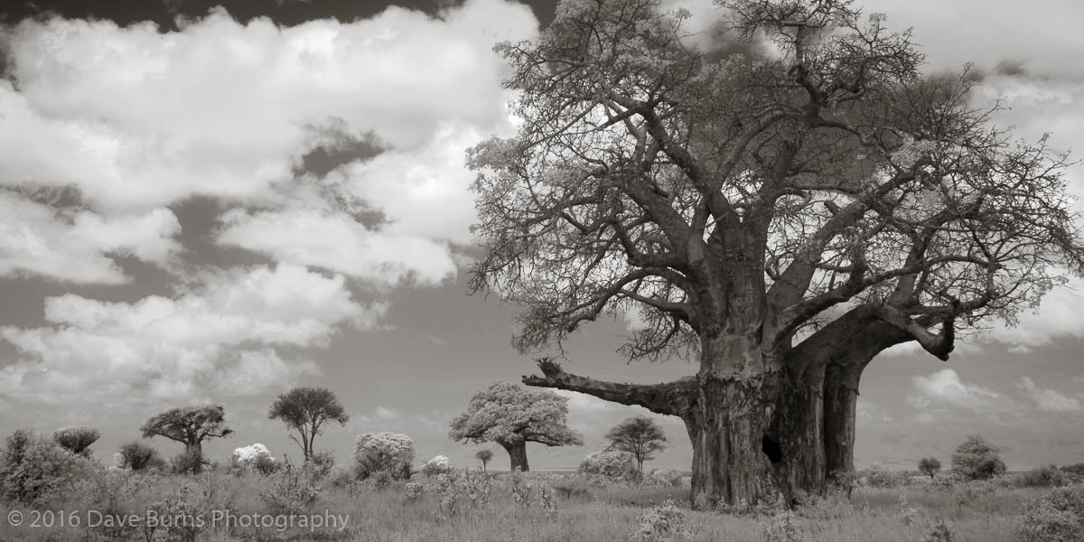 20120308-Tanzania-00946.jpg
