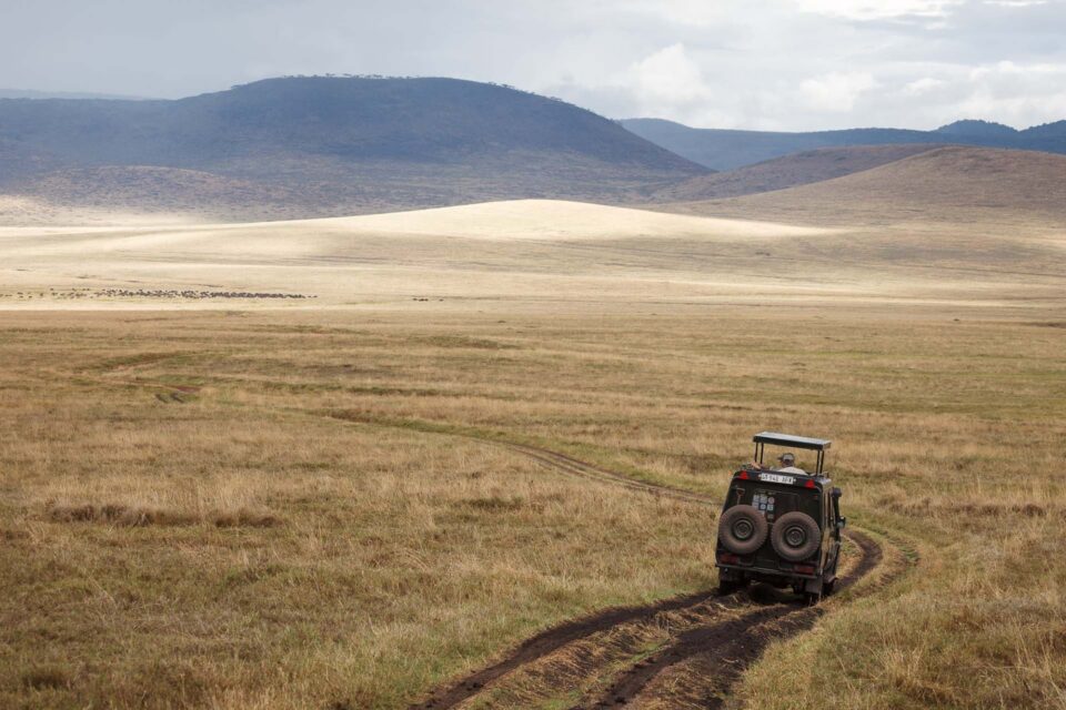 A Dave Burns Photo Safaris game drive vehicle traverses the vast floor of Ngorongoro Crater, Tanzania, with a herd of wildebeest visible on the horizon